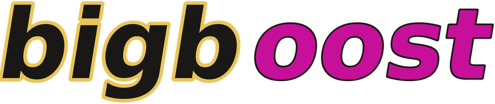 bigboost logo